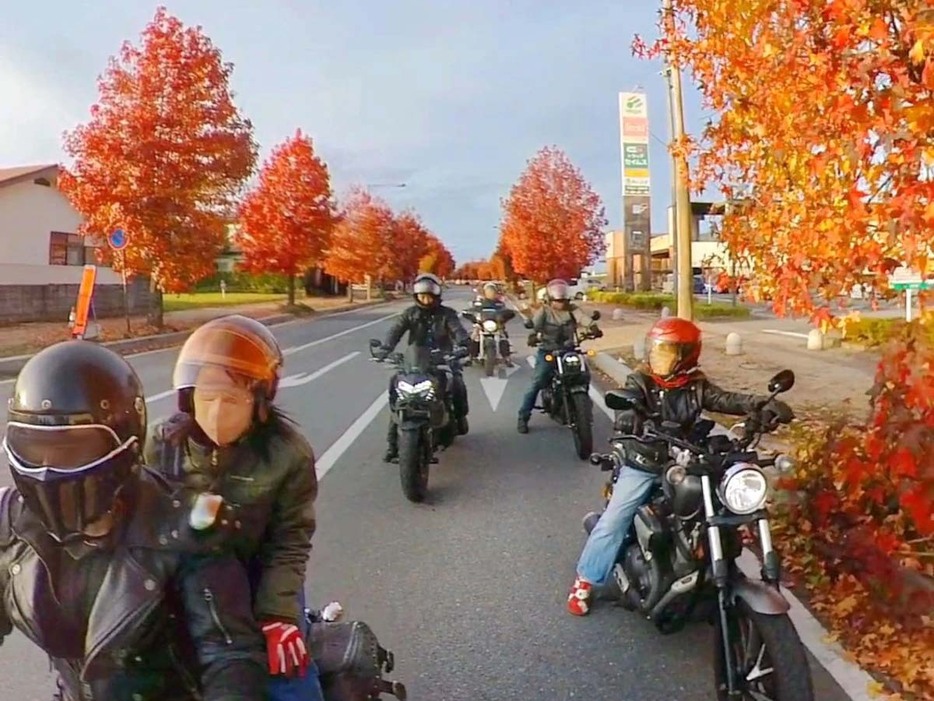 等間隔に立ち並ぶ紅葉に遭遇。秋のツーリングの醍醐味ともいえるだろう