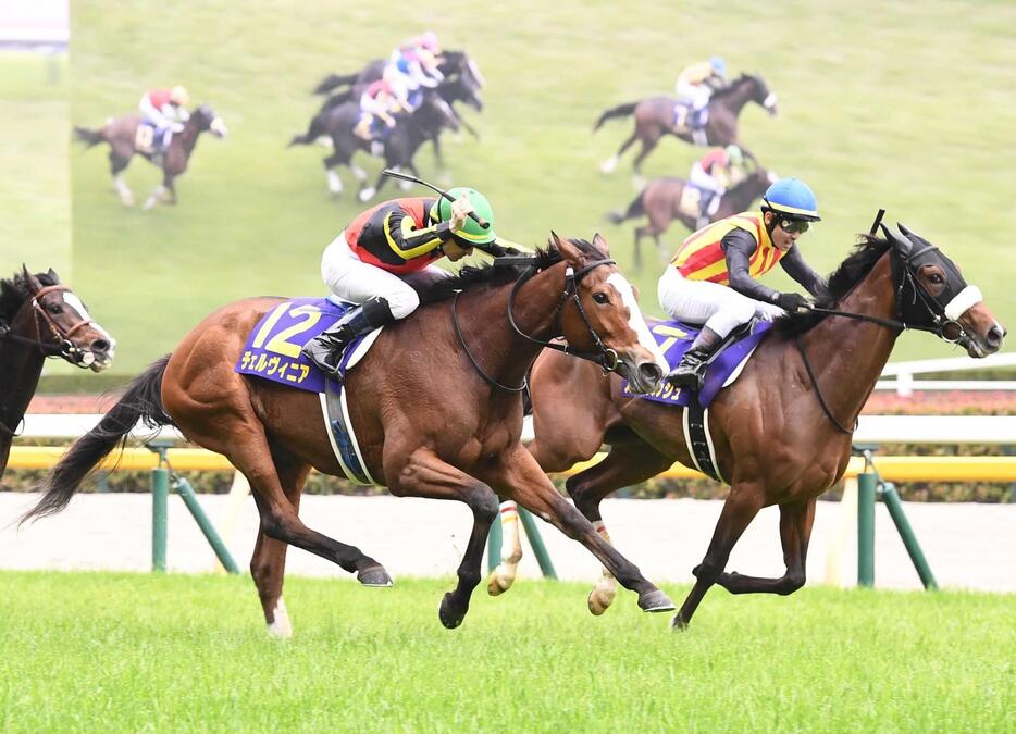 　最優秀３歳牝馬に輝いたチェルヴィニア＝２４年５月１９日オークス