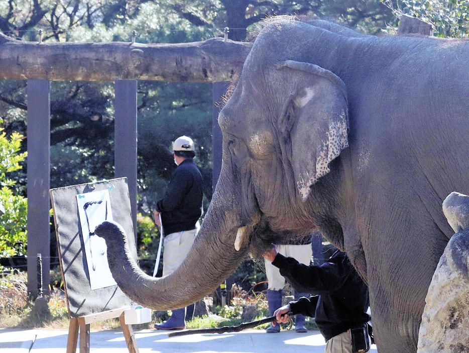 「巳」の書き初めに挑戦するみどり