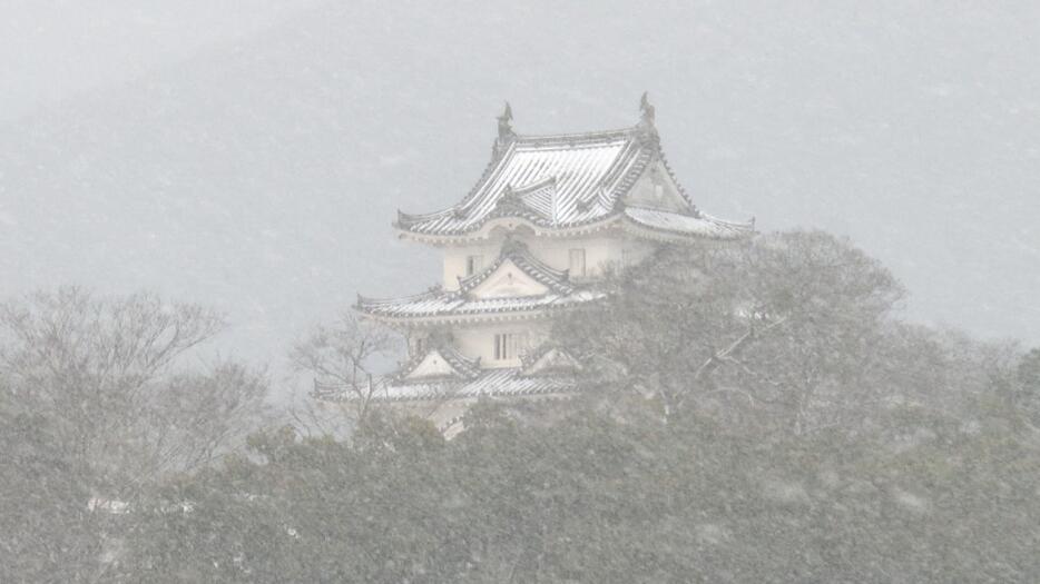 （写真：愛媛朝日テレビ）