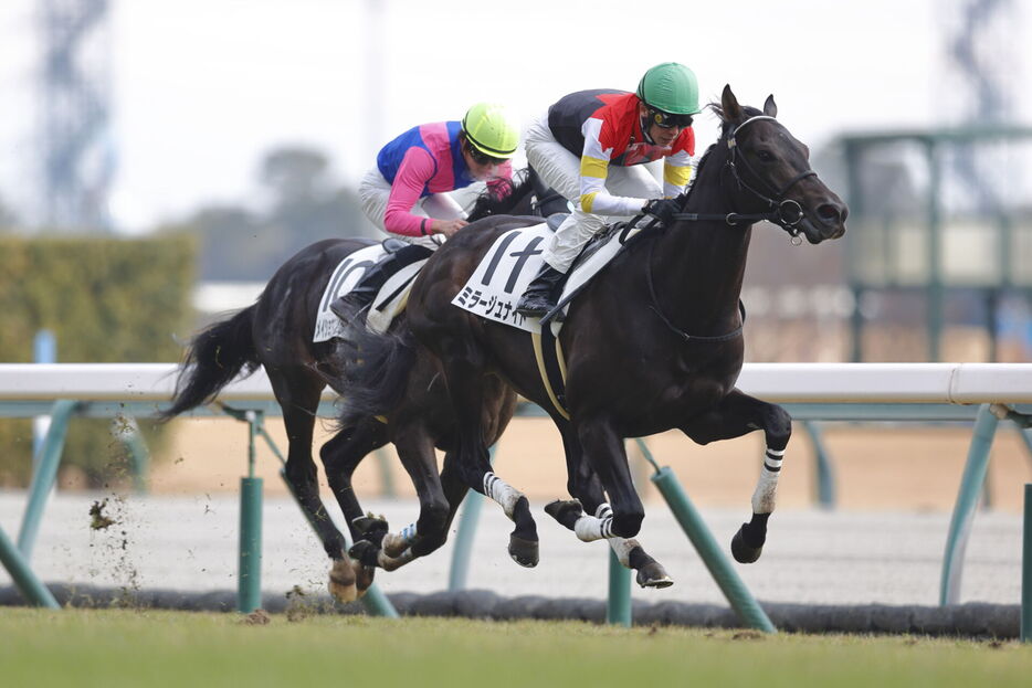 中京5R・ミラージュナイトと武豊騎手