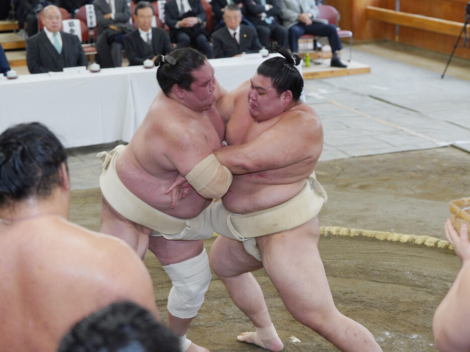 横綱審議委員会の稽古総見で汗を流す照ノ富士（左）と大の里＝６日、東京・両国国技館（代表撮影）