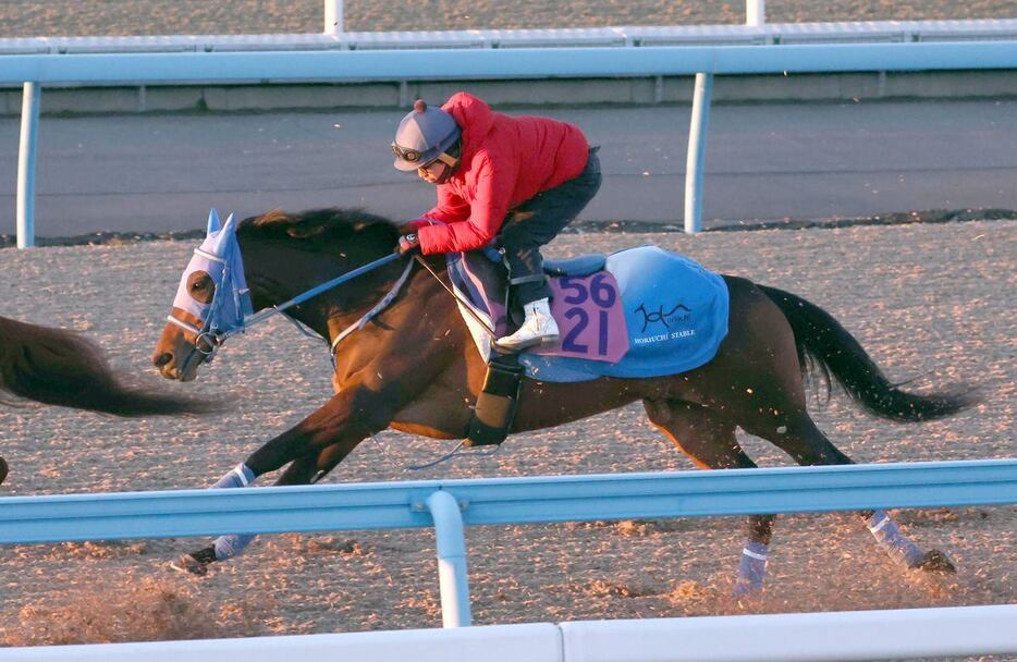 ミーントゥビーは先行する年長馬を捉えて楽々と先着した＝美浦トレセン（撮影・塩浦孝明）