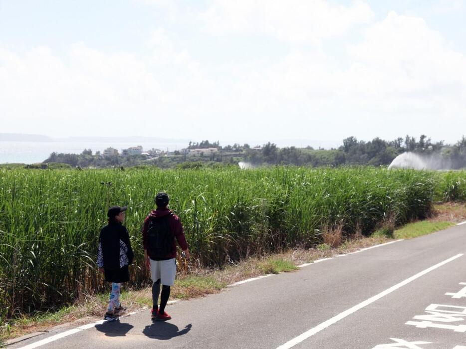 宜野座の自然や景色を楽しめる