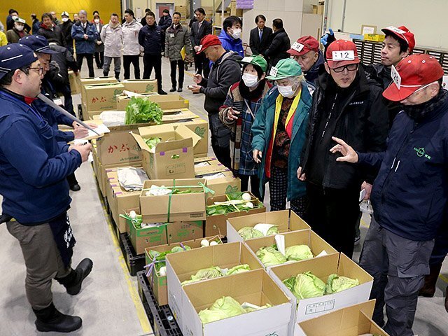 初市で野菜を競り落とす仲買人ら＝富山市公設地方卸売市場