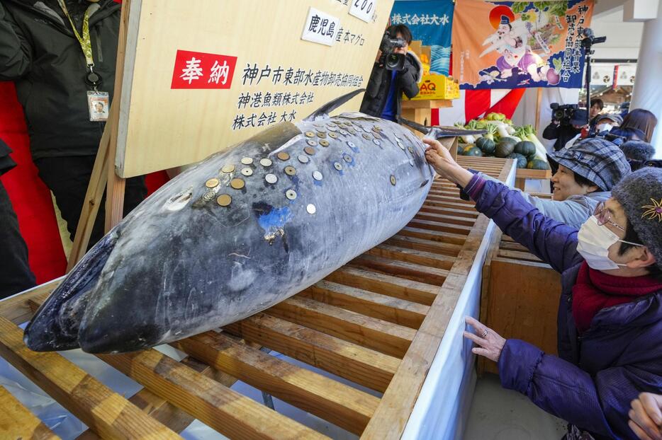 西宮神社に奉納されたマグロにさい銭を張り付ける参拝客＝8日午前、兵庫県西宮市