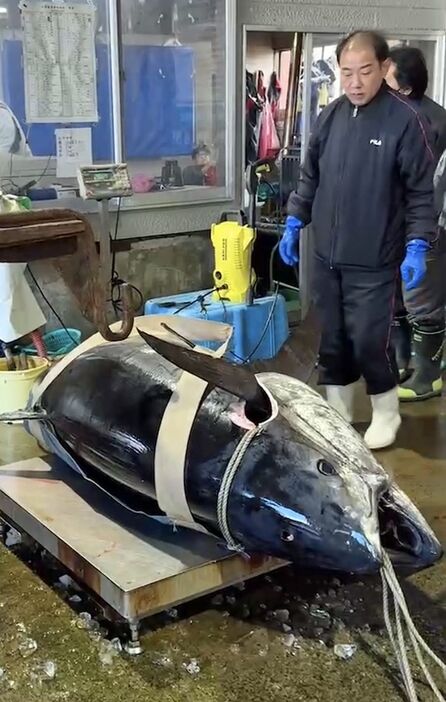 一番マグロに輝いた竹内さんが釣り上げた276キロのクロマグロ（本人提供）