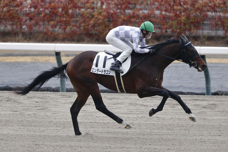 中京3R・エンダードラゴンと武豊騎手