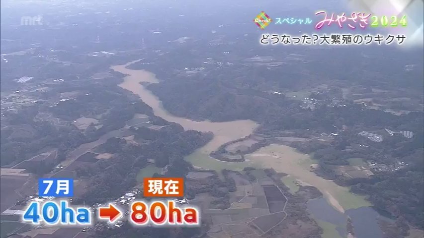 宮崎放送