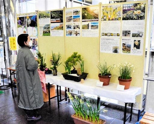 （写真：北陸新幹線で行こう！北陸・信越観光ナビ）