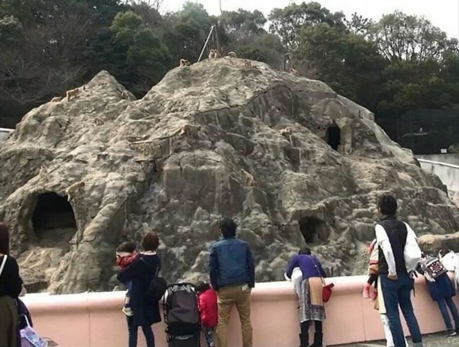 [写真]みさき公園開園時から存在していた名物のサル山＝2020年3月、大阪府岬町で