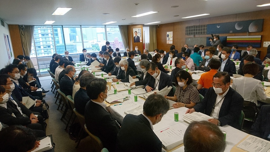 自民党厚生労働部会の様子。2020年7月9日（写真：毎日新聞社/アフロ）