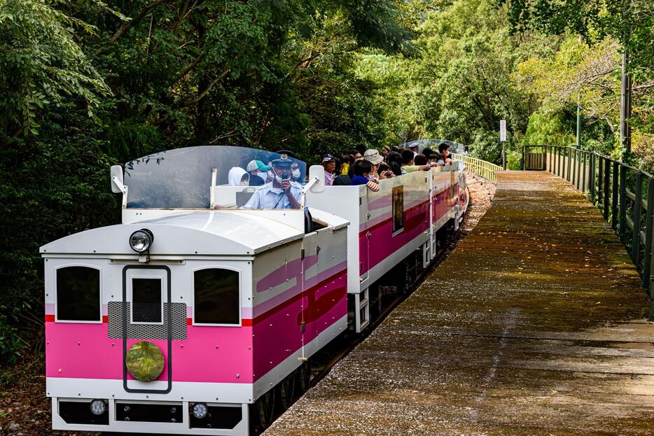 高千穂駅周辺の敷地を生かして新業態に（写真：高千穂あまてらす鉄道提供）