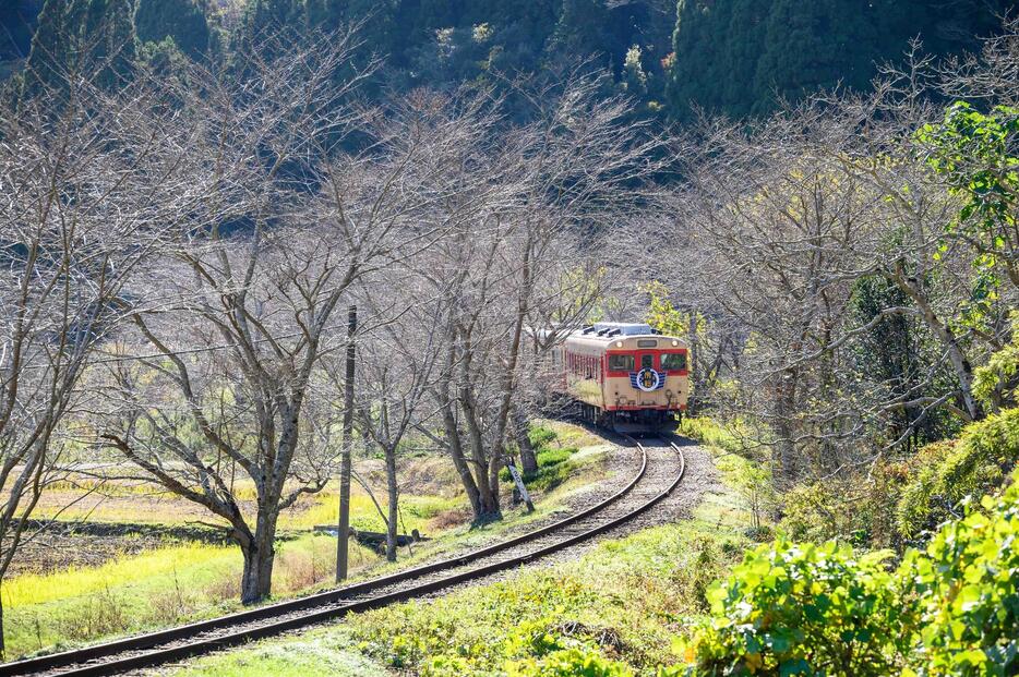 昨年11月で運行をとりやめた、いすみ鉄道の「キハ28」