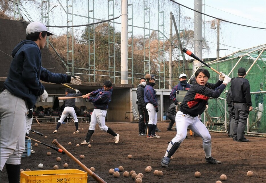 打撃練習に励む選手たち＝横浜市港北区の日吉台野球場で２０２３年１月２１日、田中綾乃撮影