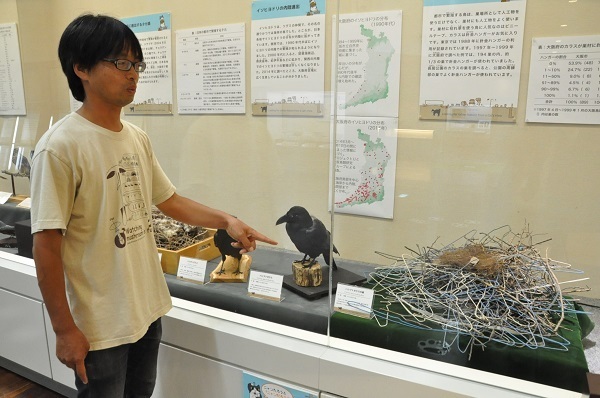 [写真]「都市の自然は発見に満ちている」と話す和田岳学芸員。指を差しているのはハンガーで作られたカラスの巣