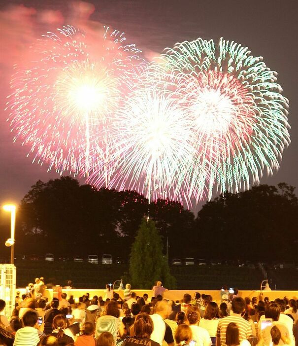 [写真]大きな花火に大歓声。府民にとっては夏の風物詩といえるPL花火芸術＝1日夜、大阪府羽曳野市から撮影