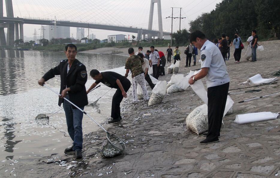 魚が大量死した川の水からはシアン化合物は検出されず＝2015年8月20日（写真：ロイター/アフロ）