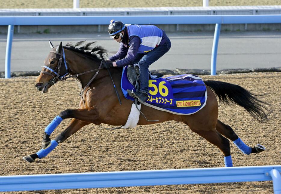 有馬記念の最終追い切りで絶好の動きを披露したスルーセブンシーズ＝美浦トレーニングセンター