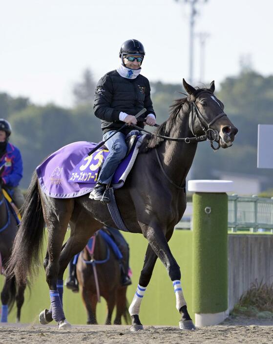 有馬記念の最終追い切りを終えたスターズオンアースとクリストフ・ルメール騎手＝美浦トレーニングセンター