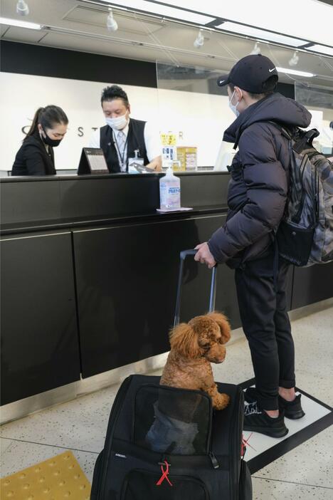 スターフライヤーが2021年12月に実施した、小型の犬や猫を連れて搭乗できるサービスの実証実験＝北九州空港