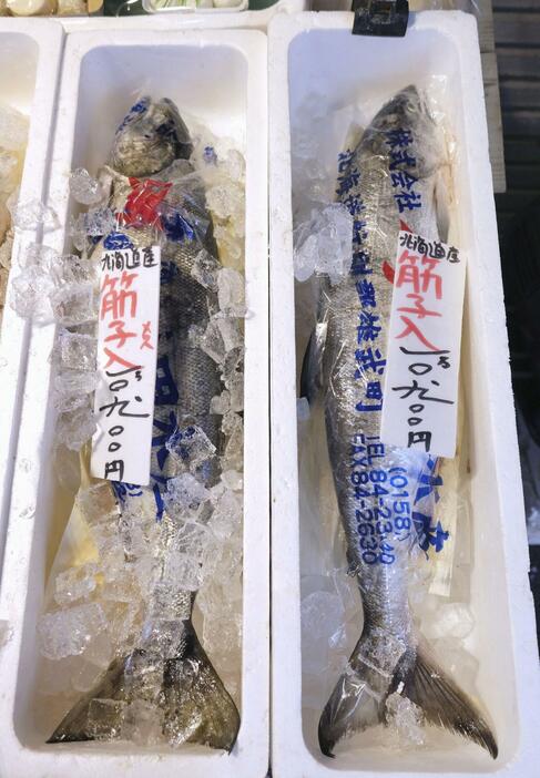 札幌市の鮮魚店で売られる北海道産の秋サケ＝1日