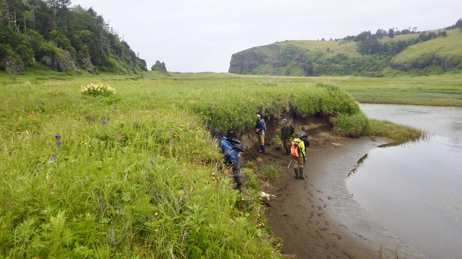 色丹島で津波の堆積物などを調べる専門家ら＝2019年7月（北海道大の西村裕一准教授提供）