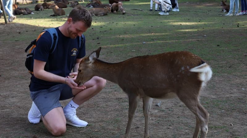 奈良公園のシカ＝１０月