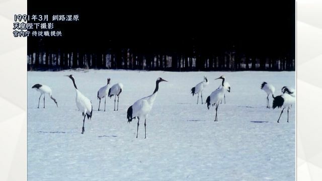 1991年3月 天皇陛下撮影 釧路湿原（宮内庁侍従職提供）