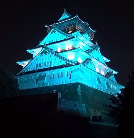 青く染まる名古屋城と大阪城 世界糖尿病デーのブルーライトアップ The Page Yahoo ニュース