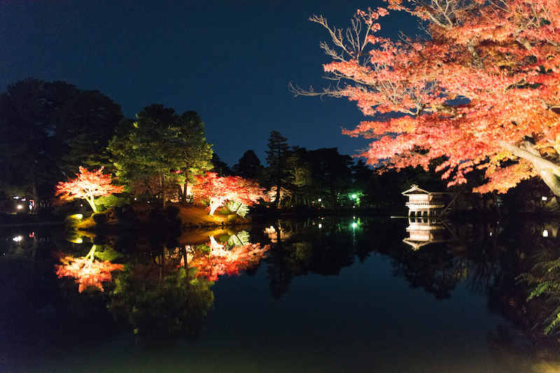 [写真]見事な紅葉がライトアップに浮かびあがる（2014年11月21日、石橋崇司氏撮影）