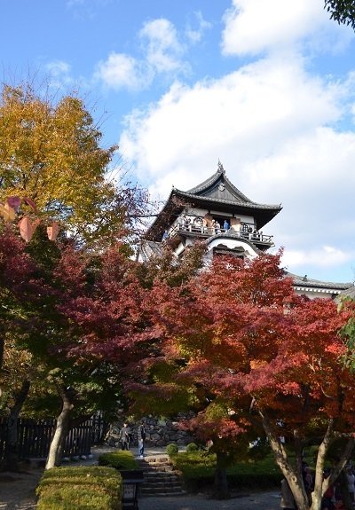 [写真]木々の紅葉がすすみ、多くの見物客でにぎわう犬山城天守