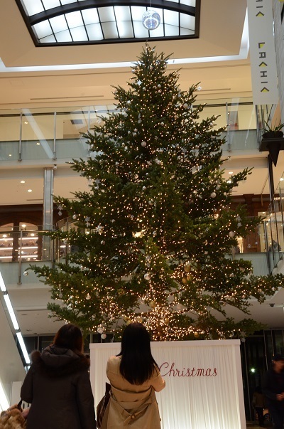 [写真]ラシックに飾られた生木のクリスマスツリー