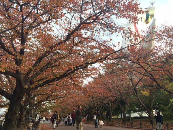 [写真]関西文化の日で無料開放。多くの人が訪れた万博記念公園＝16日午後2時半ごろ、大阪府吹田市で