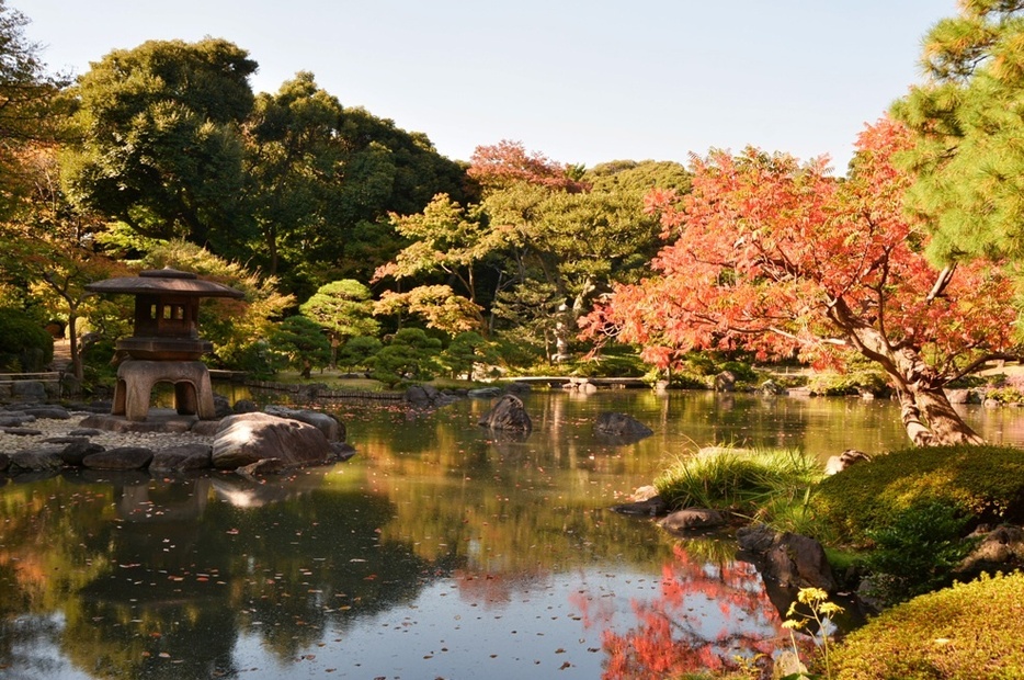 色づく日本庭園