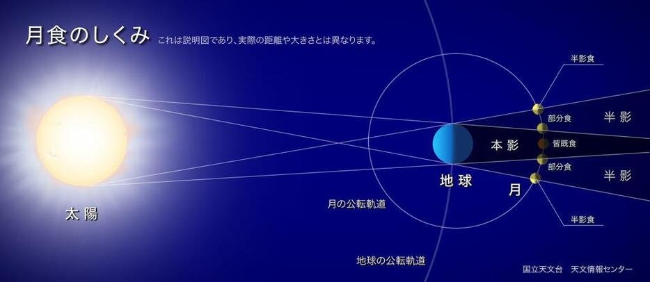 [図2]皆既月食が起こる仕組み。月が地球の影に入り、太陽の光が遮られて届かなくなる（c）国立天文台