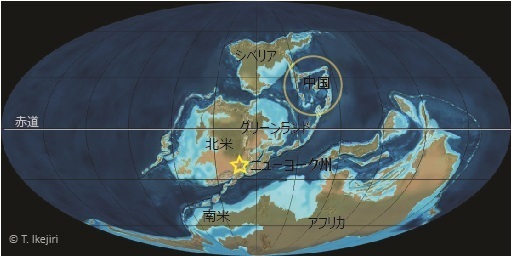 デボン紀後期の世界地図にみる初期樹木化石と森林の分布。現在の北米東海岸（星印）に（おそらく）起源をもつ樹木は、海を越えシベリアや南米・アフリカなど世界各地に急速に放散と適応を遂げたようだ。（Ron Blakeyの地図をもとに筆者作成）