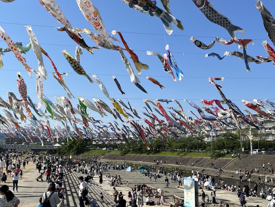 ［写真］青空のもと気持ちよさそうに泳ぐこいのぼり。3年ぶりの開催に多くの人が訪れた＝4日午後4時ごろ、大阪府高槻市で