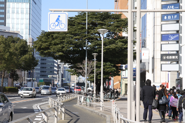 ［写真］2008年に自転車道などが整備されたが、タブノキの周りだけ、う回する