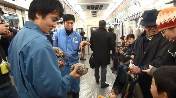 [写真]地下鉄で行った動物ふれあい列車は市民らに大好評を得た