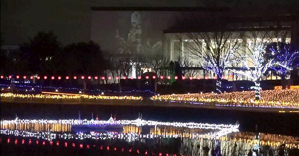 [写真]池の中でも輝くイルミネーション。水面にも輝きが映る＝6日午後8時半ごろ、大阪市東住吉区で