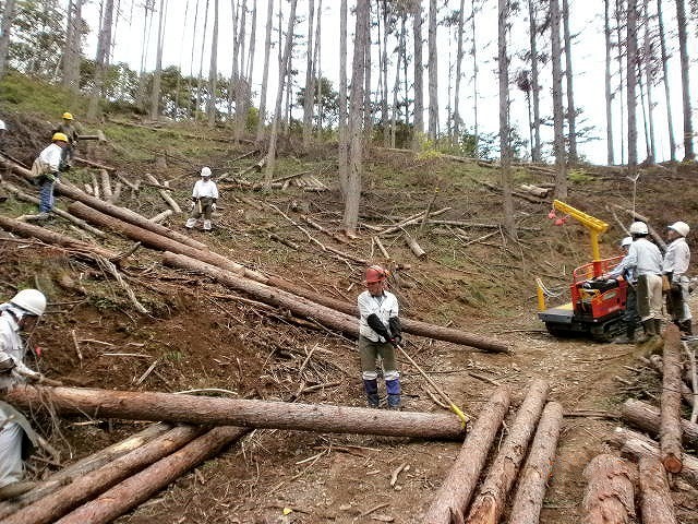 「八ヶ岳森林文化の会」の皆さんによる間伐作業の様子＝長野県茅野市の「市民の森」で、「八ヶ岳森林文化の会」提供