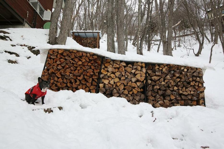 [写真]冬に使う薪を秋までに確保できるかどうかが、薪ストーブを導入した寒冷地の田舎暮らしでは死活問題となる