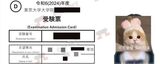 不正行為を示す、猫の画像で加工された試験受験票。