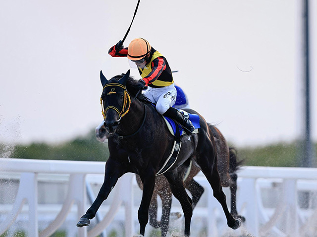 地方所属騎手最後の函館2歳S勝利から20年 スペシャルチャンス