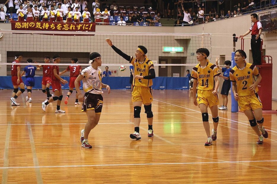 バレーボール ノースリーブ インターハイ 星城高校 yuki | ーー エントリオ 2024.11.17 #永井孝汰 選手（11S