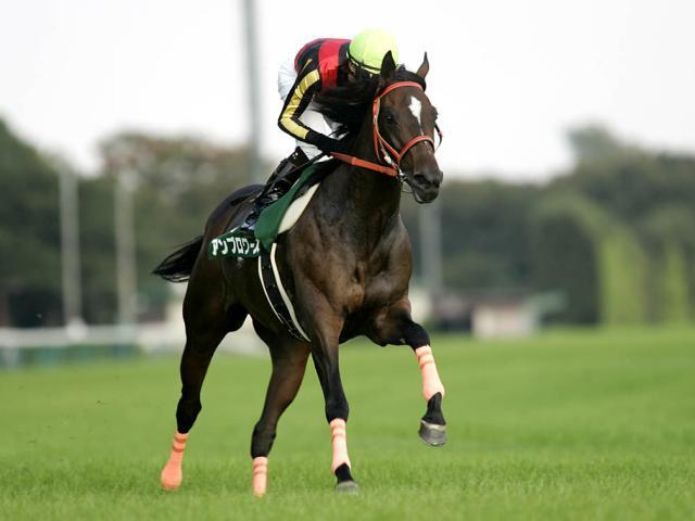 2歳重賞勝ち馬史上最大の馬体減 “-22kg”で制したアンブロワーズ