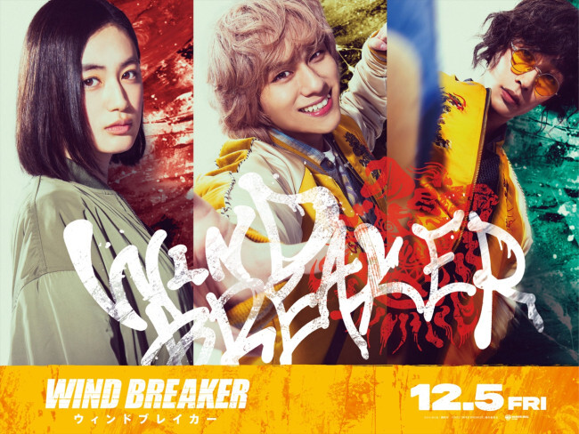 映画『WIND BREAKER』水上恒司が“守る拳”振るう予告解禁 八木莉
