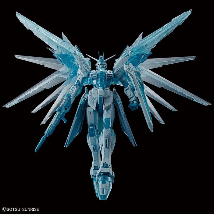 機動戦士ガンダムSEED＞MG フリーダムガンダム 氷霜をイメージ