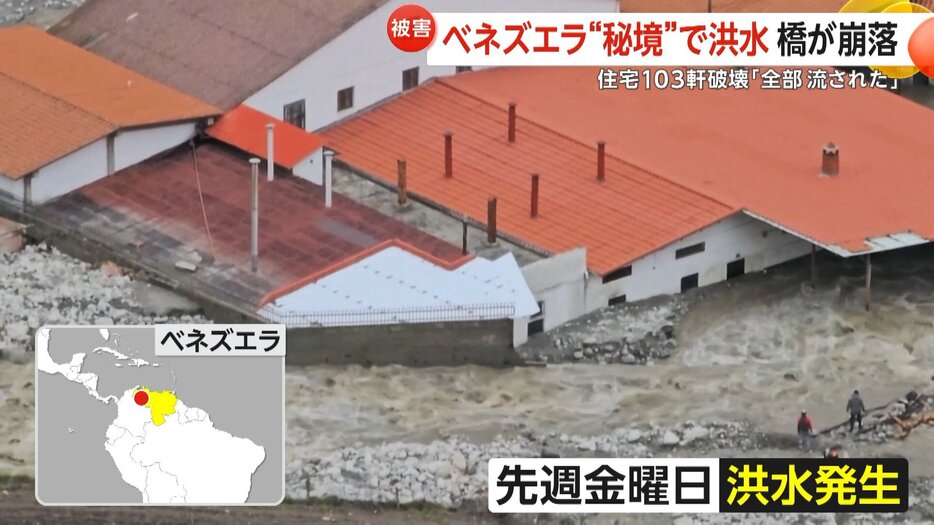 水害は人災だ: 森は死んでいる